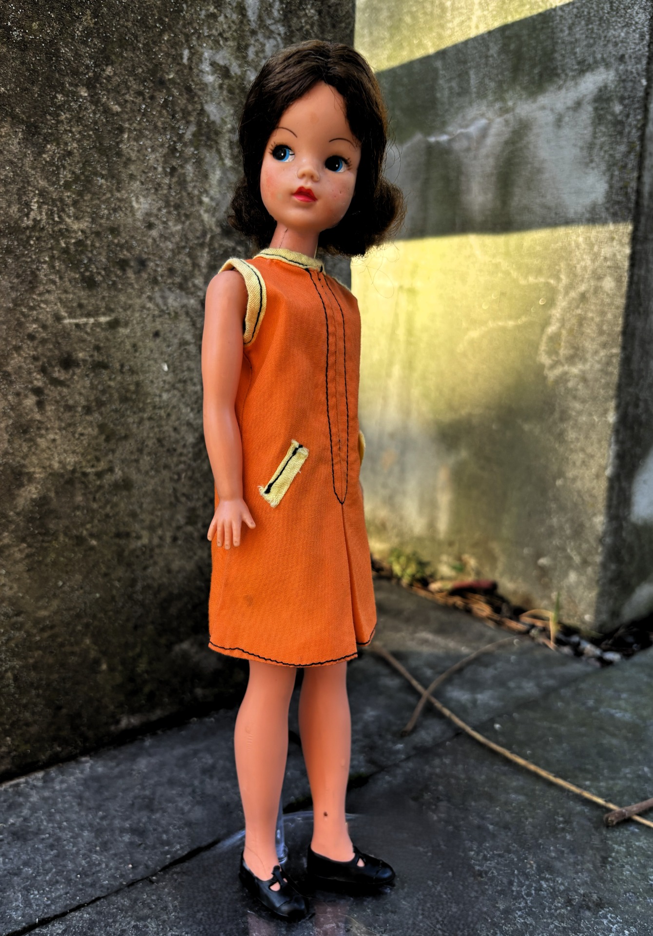 Oranges and Lemons, 1965